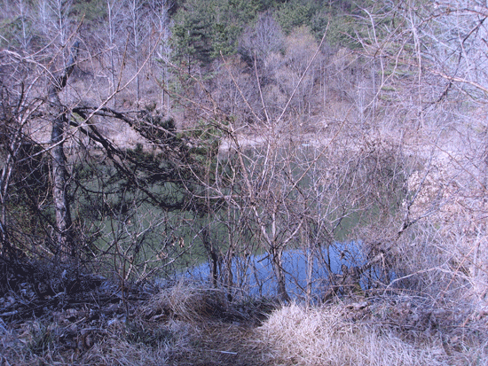 3731421316_122055a3_91.gif