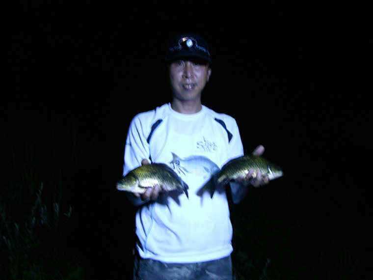 DSCN1996_jum_johwang12565035.jpg