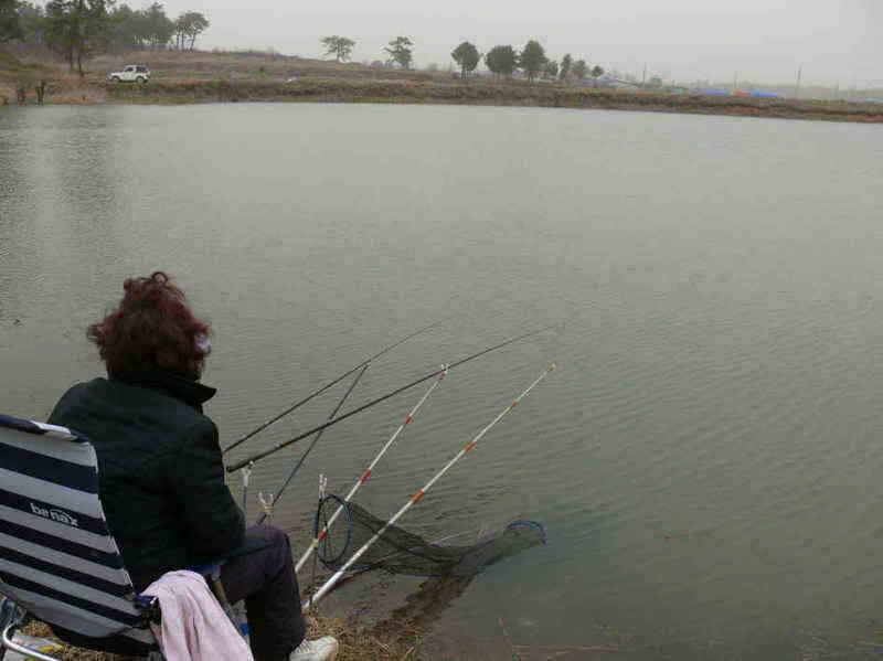 autoup_jum_johwang01210535.jpg