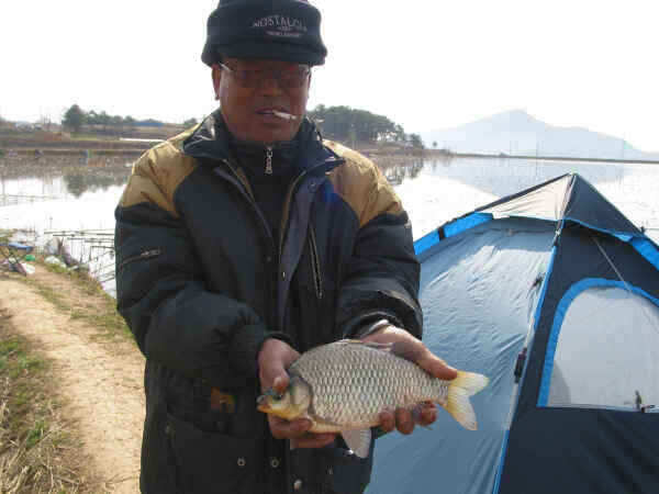 autoup_jum_johwang01220794.jpg