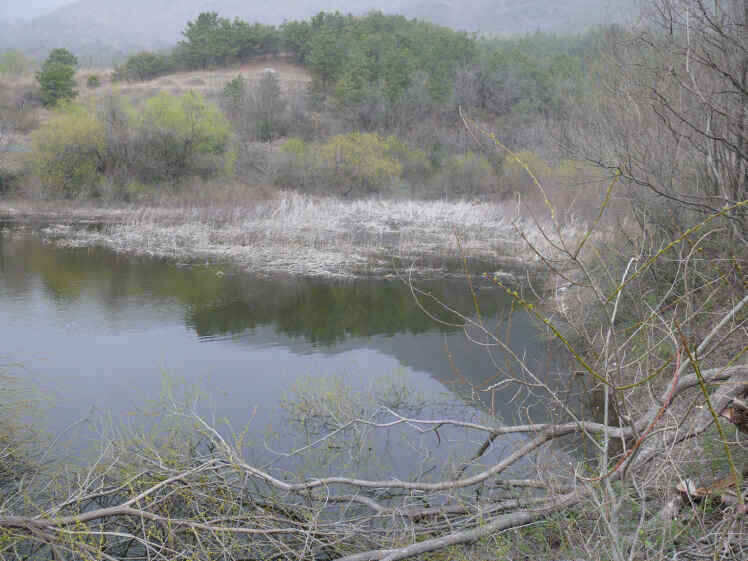 autoup_jum_johwang0123131.jpg