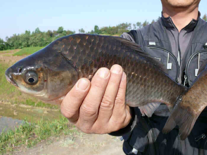 autoup_jum_johwang01500896.jpg