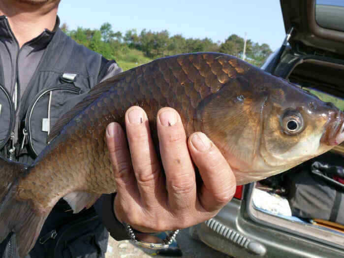 autoup_jum_johwang01510818.jpg