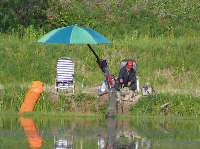 autoup_jum_johwang02004723.jpg
