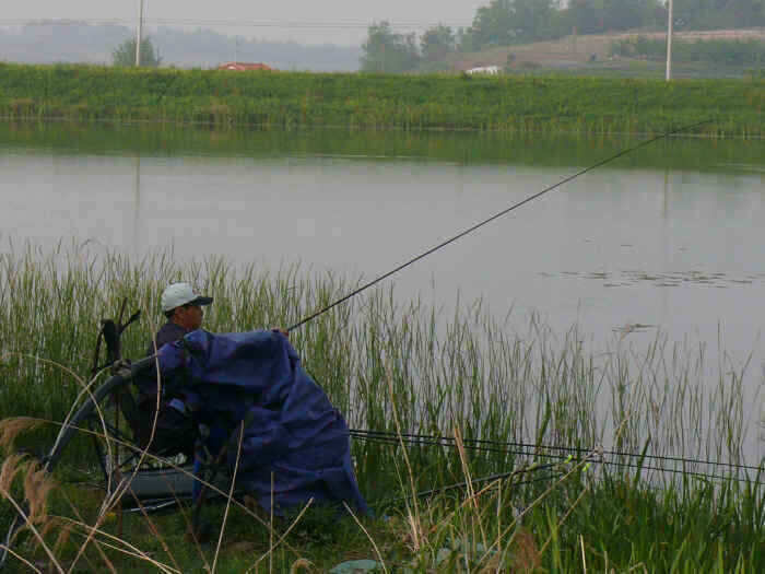 autoup_jum_johwang02065694.jpg