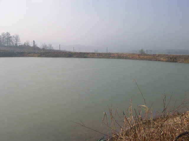 autoup_jum_johwang02391362.jpg