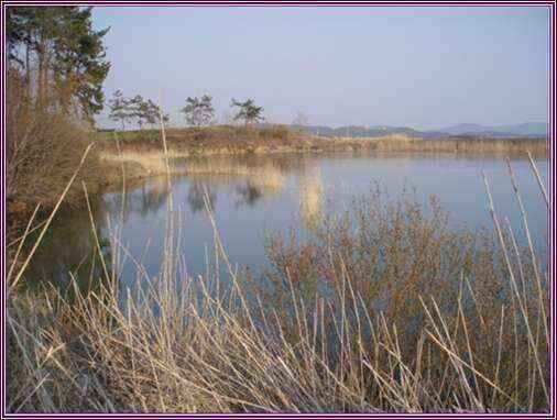 autoup_jum_johwang02533260.jpg