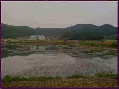 autoup_jum_johwang02541467.jpg