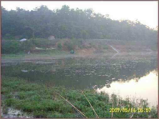 autoup_jum_johwang02550053.jpg