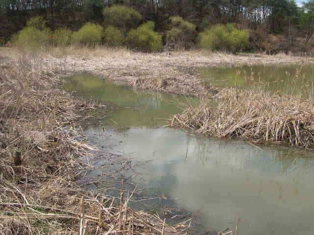 autoup_jum_johwang05024844.jpg