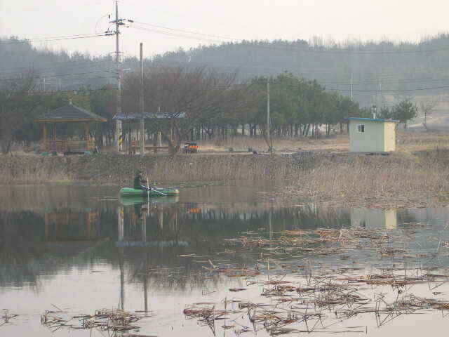 autoup_jum_johwang06175544.jpg