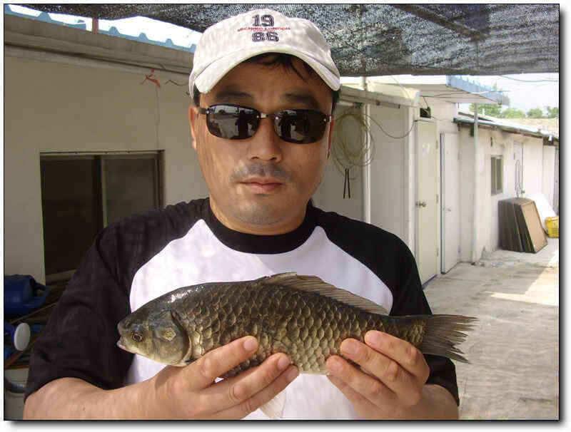 autoup_jum_johwang08213895.jpg