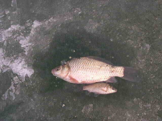 autoup_jum_johwang08340567.jpg