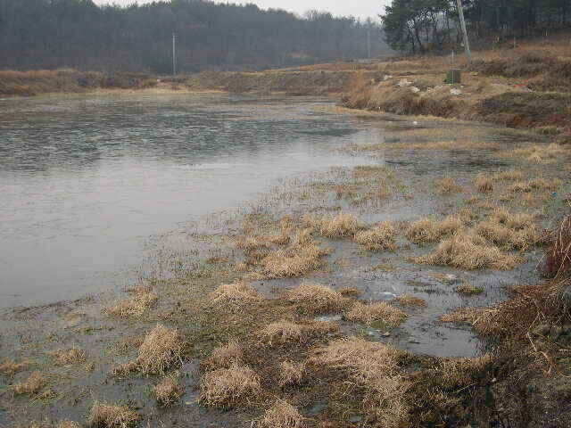 autoup_jum_johwang08391071.jpg