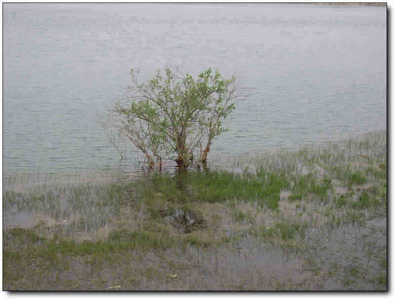 autoup_jum_johwang08475635.jpg