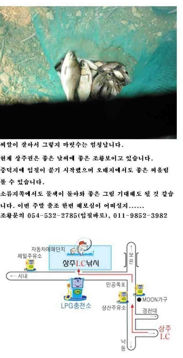 autoup_jum_johwang0855463.jpg