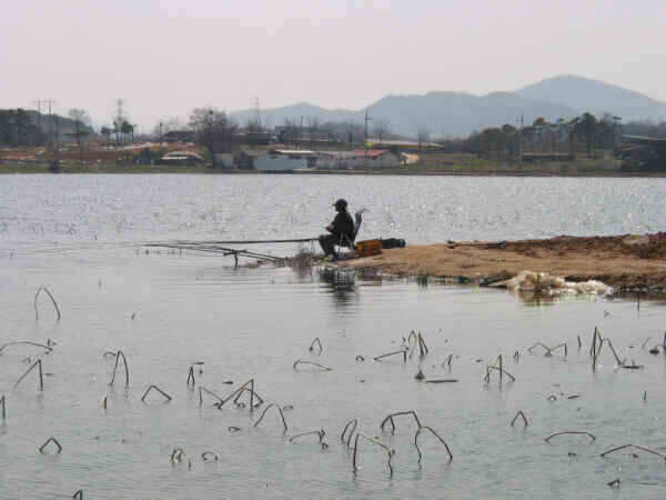 autoup_jum_johwang09380470.jpg