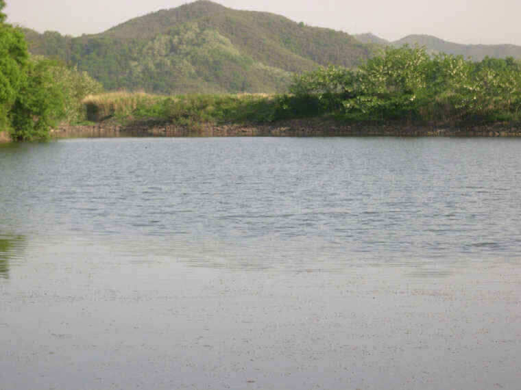 autoup_jum_johwang09550585.jpg