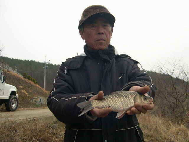 autoup_jum_johwang10055184.jpg