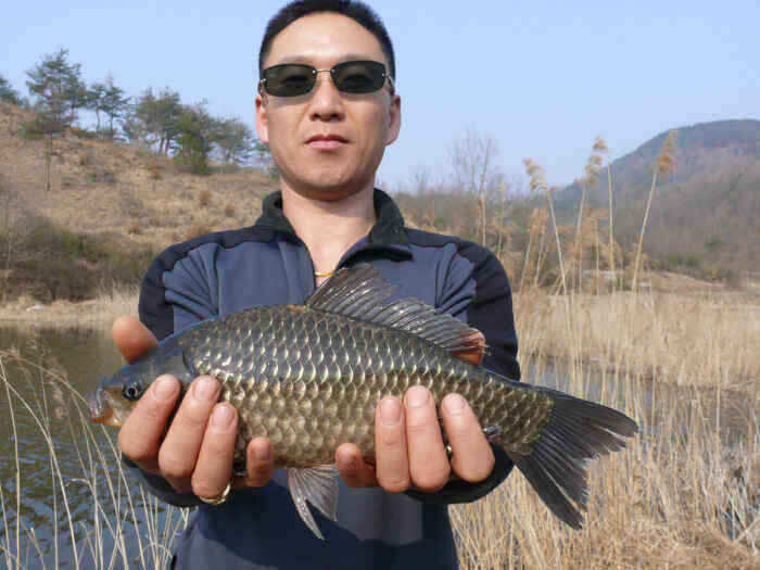 autoup_jum_johwang1026353.jpg