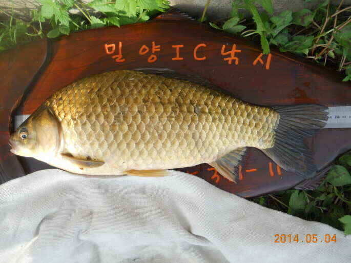 jum_johwang_01065567.jpg