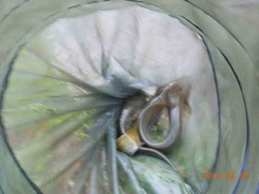 jum_johwang_01160738.jpg