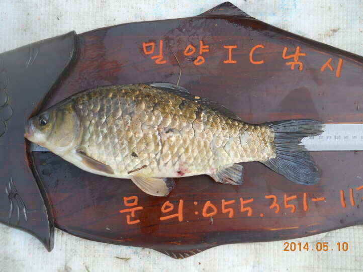 jum_johwang_01205156.jpg