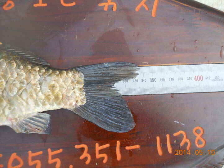 jum_johwang_01205382.jpg