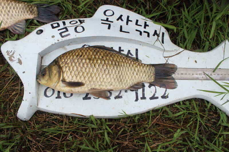 jum_johwang_01455130.jpg
