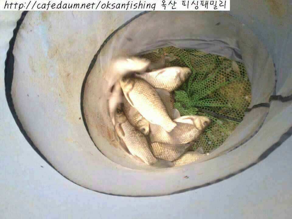 jum_johwang_0154075.jpg