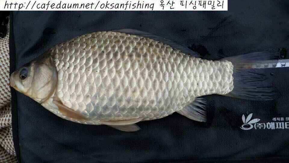 jum_johwang_01543530.jpg