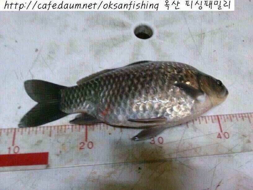 jum_johwang_01551283.jpg