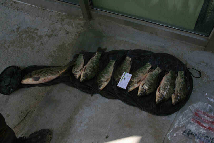 jum_johwang_01584454.jpg