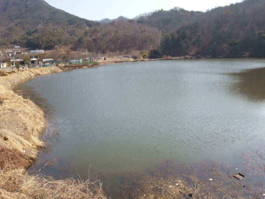 jum_johwang_02043466.jpg