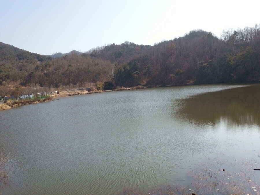 jum_johwang_02051114.jpg
