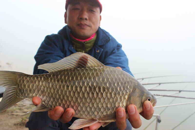 jum_johwang_02053684.jpg