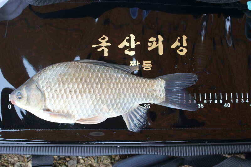 jum_johwang_02053860.jpg