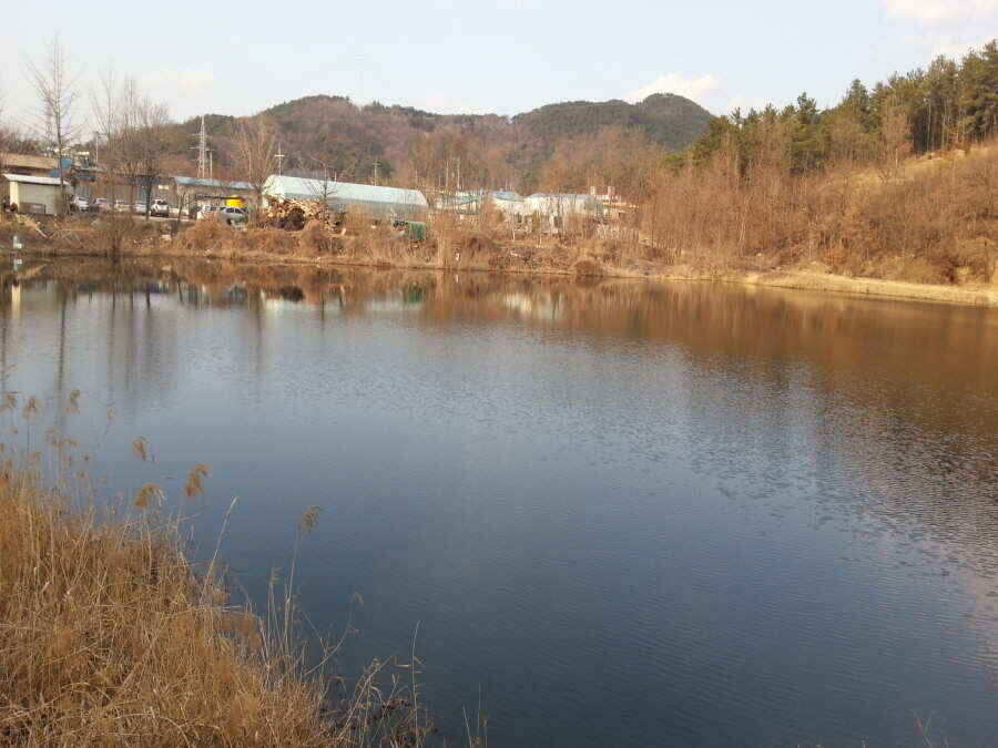 jum_johwang_02070474.jpg