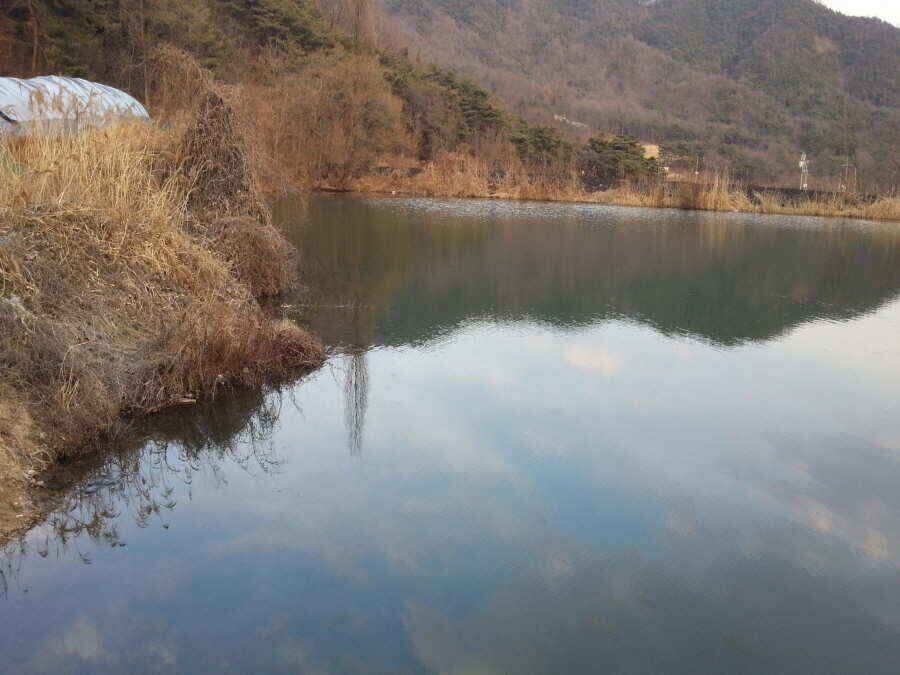 jum_johwang_02072469.jpg