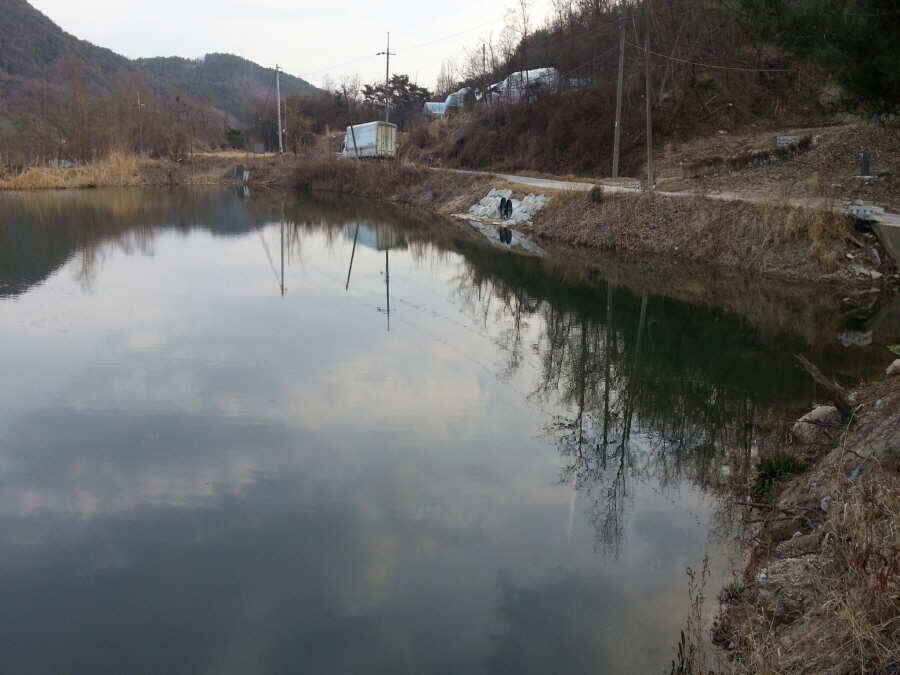 jum_johwang_02072914.jpg