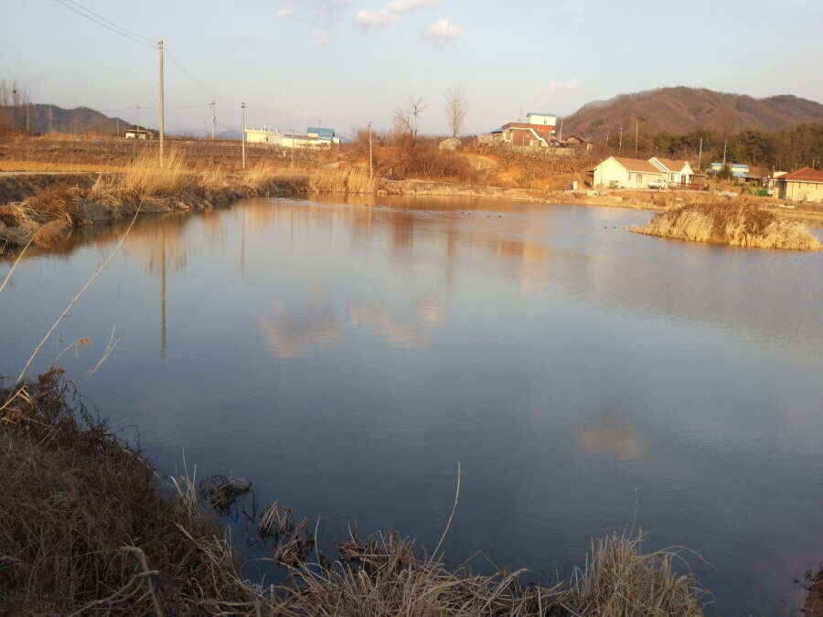 jum_johwang_02104379.jpg