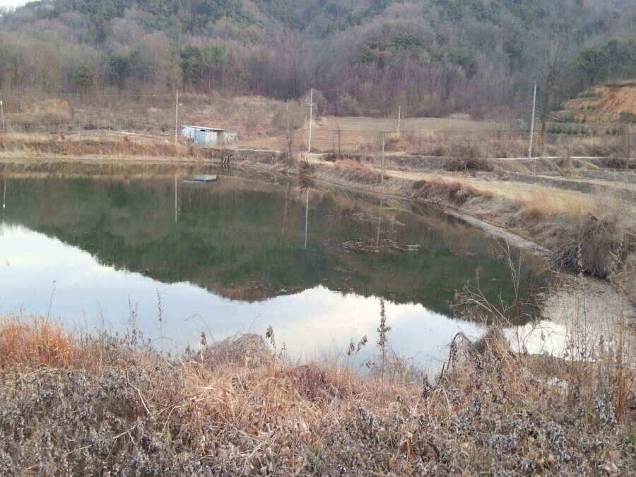 jum_johwang_02121196.jpg