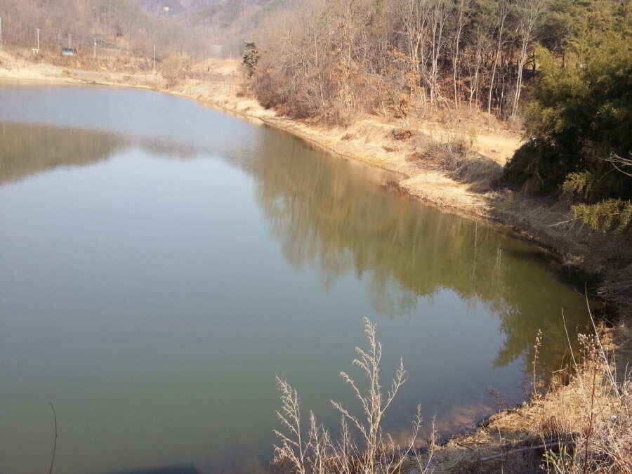 jum_johwang_02151219.jpg