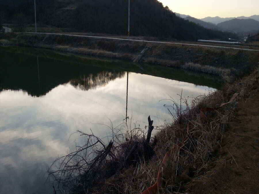 jum_johwang_0217477.jpg