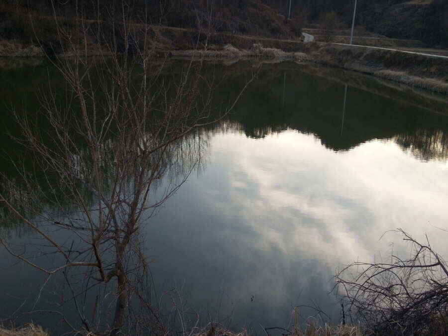 jum_johwang_02175097.jpg