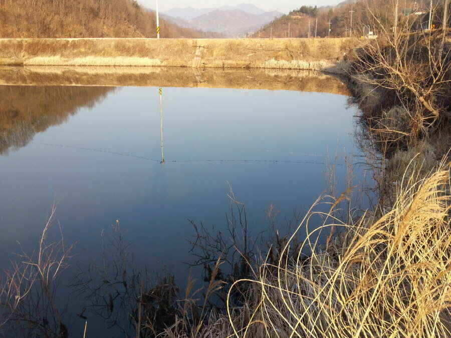 jum_johwang_02180764.jpg