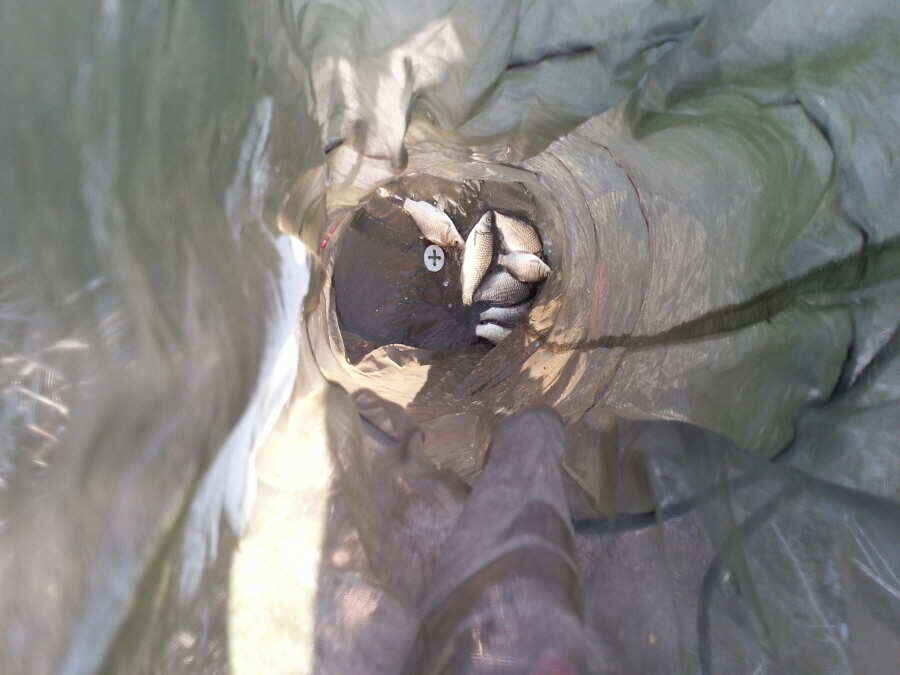 jum_johwang_02194250.jpg