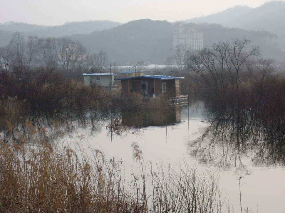 jum_johwang_02233321.jpg