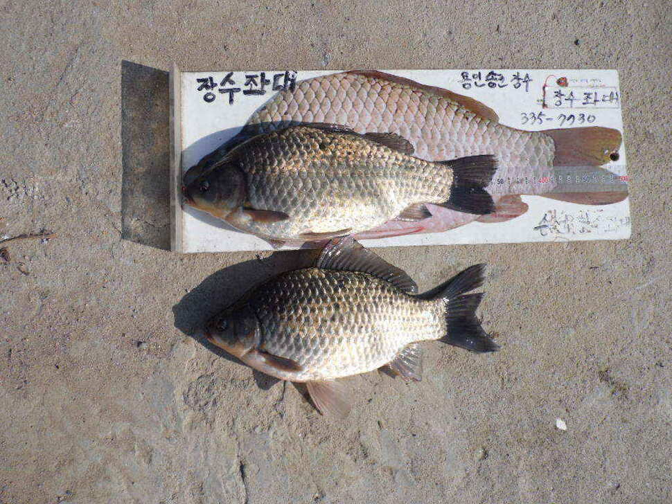 jum_johwang_02240670.jpg