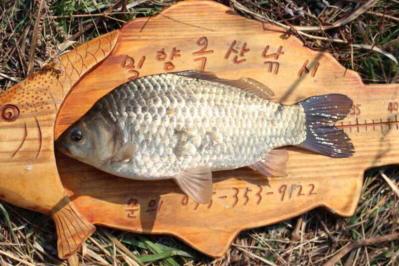 jum_johwang_02480062.jpg
